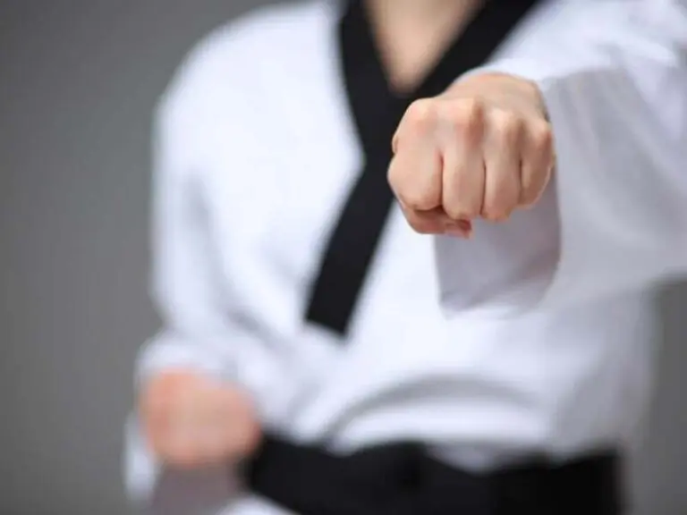 Taekwondo vs Karate
